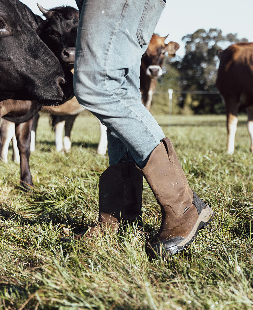 Men's Evanston Pull-On Waterproof Boot (Carbon Toe) | Bison/Black - Image 8