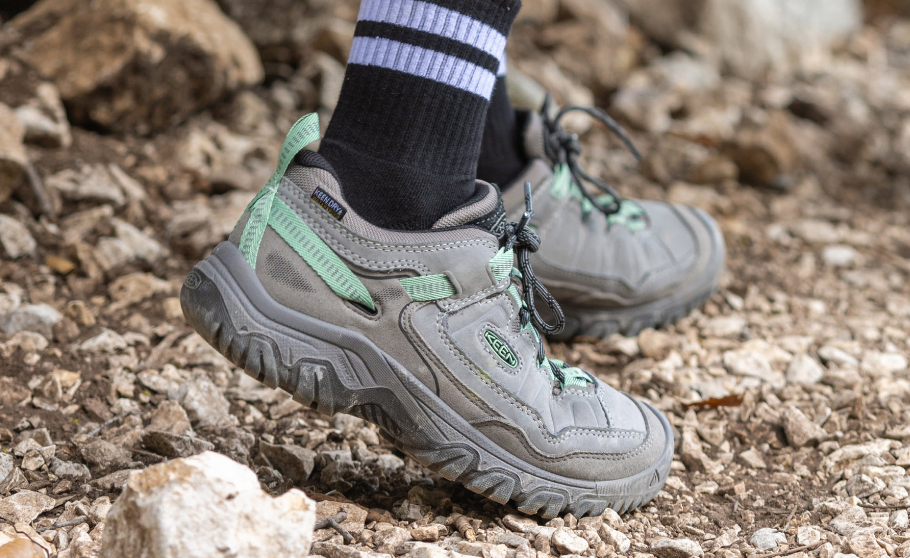 Women's Targhee IV Waterproof Hiking Shoe | Alloy/Granite Green - Image 7